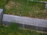image of grave number 828463